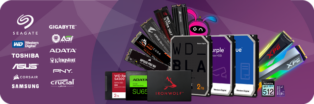 Storage Devices